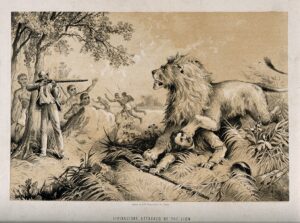David Livingstone